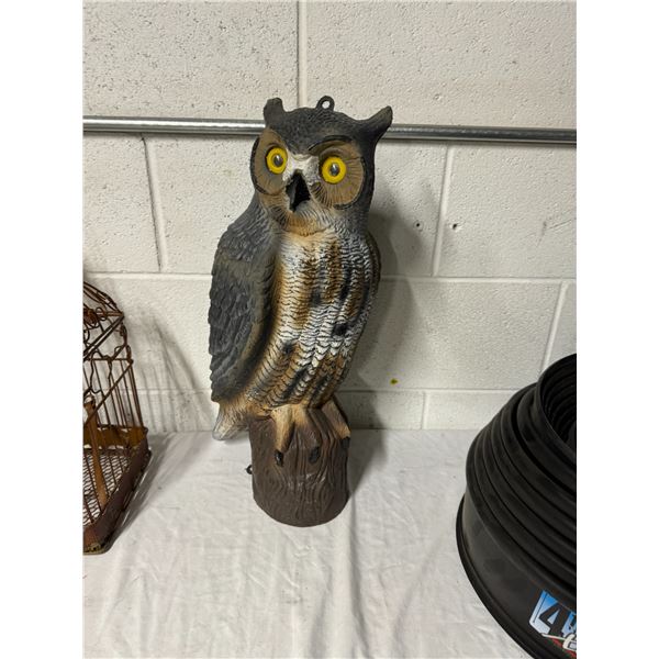 Owl  decoy