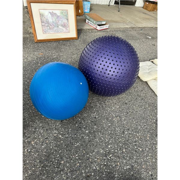 Exercise balls