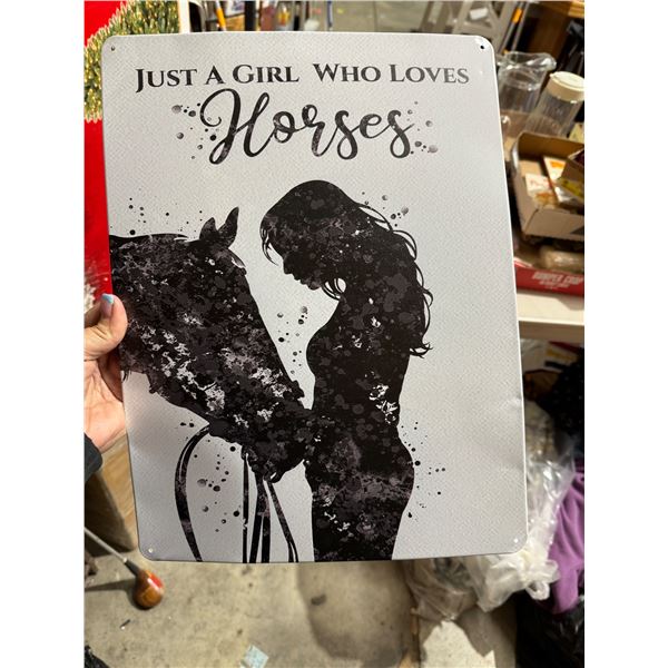 Just a girl who loves a horse tin sign