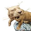 Image 2 : Vintage Porcelain Chinese Tiger