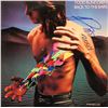 Image 1 : Todd Rundgren signed Back To The Bars album