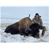 Image 3 : EUREKA NEVADA BISON HUNT ONE SHOOTER, UNLIMITED NON-HUNTERS INCLUDED