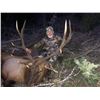Image 2 : 5-DAY OREGON ROOSEVELT ELK MUZZLERLOADER HUNT