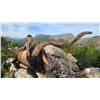 Image 2 : SPAIN IBEX TRIP - ROMANTIC PACK SOUTHEASTERN IBEX, BALEAREAN BOC & SIGHTSEEING
