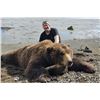 Image 3 : 11-DAY ALASKA PENINSULA BROWN BEAR, BLACK BEAR, WOLVERINE AND WOLF COMBO HUNT FOR ONE HU