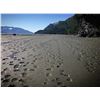 Image 4 : 11-DAY ALASKA PENINSULA BROWN BEAR, BLACK BEAR, WOLVERINE AND WOLF COMBO HUNT FOR ONE HU