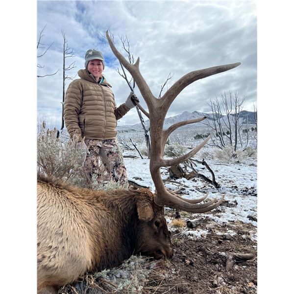 NEVADA UNITS 221-223 AND 231 LANDOWNER BULL ELK TAG