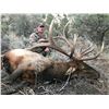 Image 2 : NEVADA UNITS 221-223 AND 231 LANDOWNER BULL ELK TAG