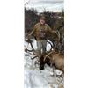 Image 3 : BULL ELK HUNT OF A LIFETIME ON THE SHOSHONE-PAIUTE RESERVATION