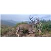 Image 3 : 5-DAY OREGON BLACKTAIL DEER HUNT FOR TWO HUNTERS WITH SPOON CREEK OUTFITTERS
