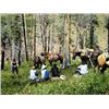 Image 3 : SUMMER HORSE PACK TRIP FOR TWO IN THE JARBIDGE WILDERNESS