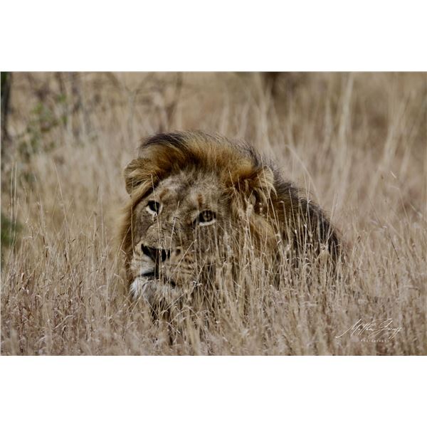 KRUGER NATIONAL PARK PHOTOGRAPHIC SAFARI FOR TWO