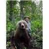 Image 2 : ALASKA BROWN BEAR & BLACK BEAR COMBO HUNT