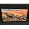 Framed Sheep Photo