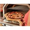 Image 2 : Gas Pizza Oven