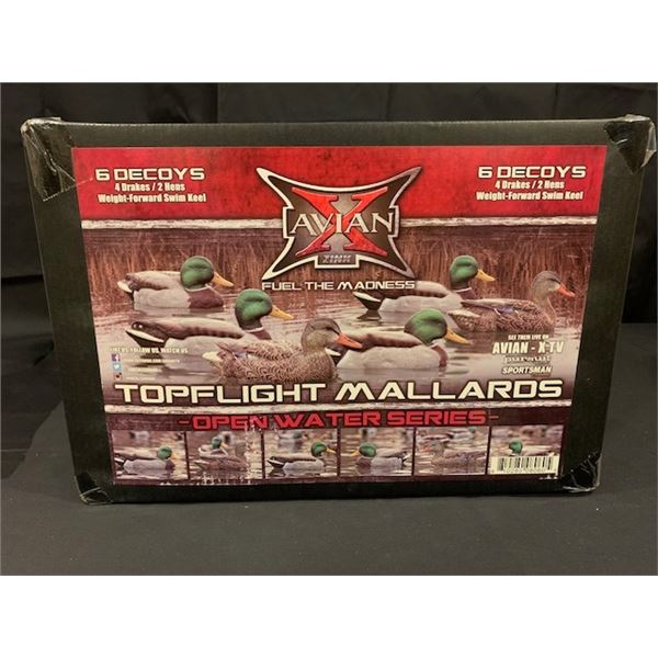 6 Avian X Duck Decoys