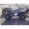Image 1 : 2003 Arctic Cat TBX 500