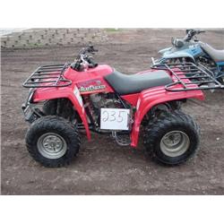 2001 Yamaha Beartracker 250