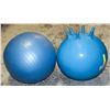 Image 1 : 2X EXCERCISE BALLS