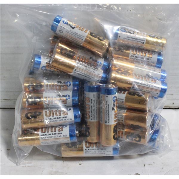 20–2 PACKS, 40 BATTERIES, TOTAL AA ALKALINE GREAT