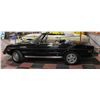 Image 2 : 1979 ALFA ROMEO SPIDER VELO 2 DOOR CONVERTIBLE