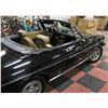 Image 4 : 1979 ALFA ROMEO SPIDER VELO 2 DOOR CONVERTIBLE