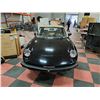 Image 9 : 1979 ALFA ROMEO SPIDER VELO 2 DOOR CONVERTIBLE