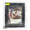 Image 1 : DOMINIK HASEK DETROIT RED WINGS FRAMED PICTURE