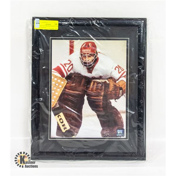 VLADISLAV TRETIAK SOVIET UNION CCCP FRAMED