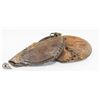 Image 1 : VINTAGE 2 BASEBALL GLOVES 1 BATTERS