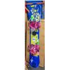 Image 1 : SNOW BOARD