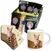 Image 1 : BRAND NEW 3DROSE CORGI COFFEE GIFT BASKET