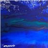 Image 2 : Untitled by Wyland Original
