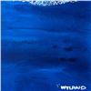 Image 2 : Untitled by Wyland Original