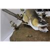 Image 5 : * Walleye Trophy Fish Mount - 24" x 27" x 15"