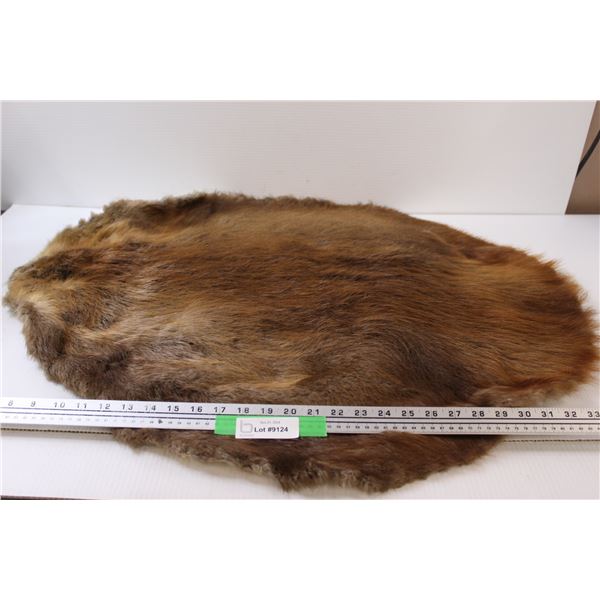 *Tanned Beaver Pelt - 34" x 28"