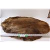 Image 1 : *Tanned Beaver Pelt - 34" x 28"