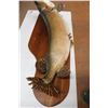 Image 3 : Mounted Northern Pike - Fish 39" Approx - 46" x 16"