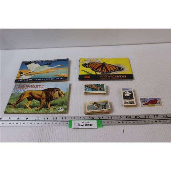 (3) Red Rose Tea Bird books & Red Rose Tea Cards - Assorted