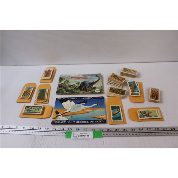 (2) Red Rose Tea Books: Dinosaur & Birds & Assorted Red Rose Tea Cards