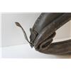 Image 3 : *Horse Harness