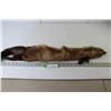 Image 1 : Mink Fur Pelt With Mouth Spring Latch 30" Length