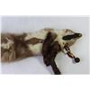 Image 2 : Mink Fur Pelt With Mouth Spring Latch 30" Length