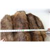 Image 1 : Tanned Beaver Pelt Wall Art 28" x 27" Approx