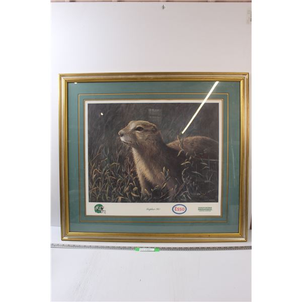 * Saskatchewan Roughriders "Gopher It" - 35" x 31"