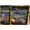 Image 5 : (4) Black Velvet Art Pictures: (2) Niagara Falls, Kakabeka Falls, Waterton Park - 18" x 18"