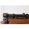 Image 9 : *^ British 303 Rifle w/ Sight