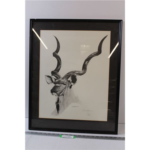 * Antelope Drawing Print by Donaldson - 21" x 26"