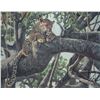 Image 2 : Framed Robert Bateman print titled "Leopard In a Sausage Tree," pencil signed by artist and numbered