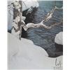 Image 2 : Framed Robert Bateman print titled "Kingfisher", pencil signed by artist and numbered 602/950, overa